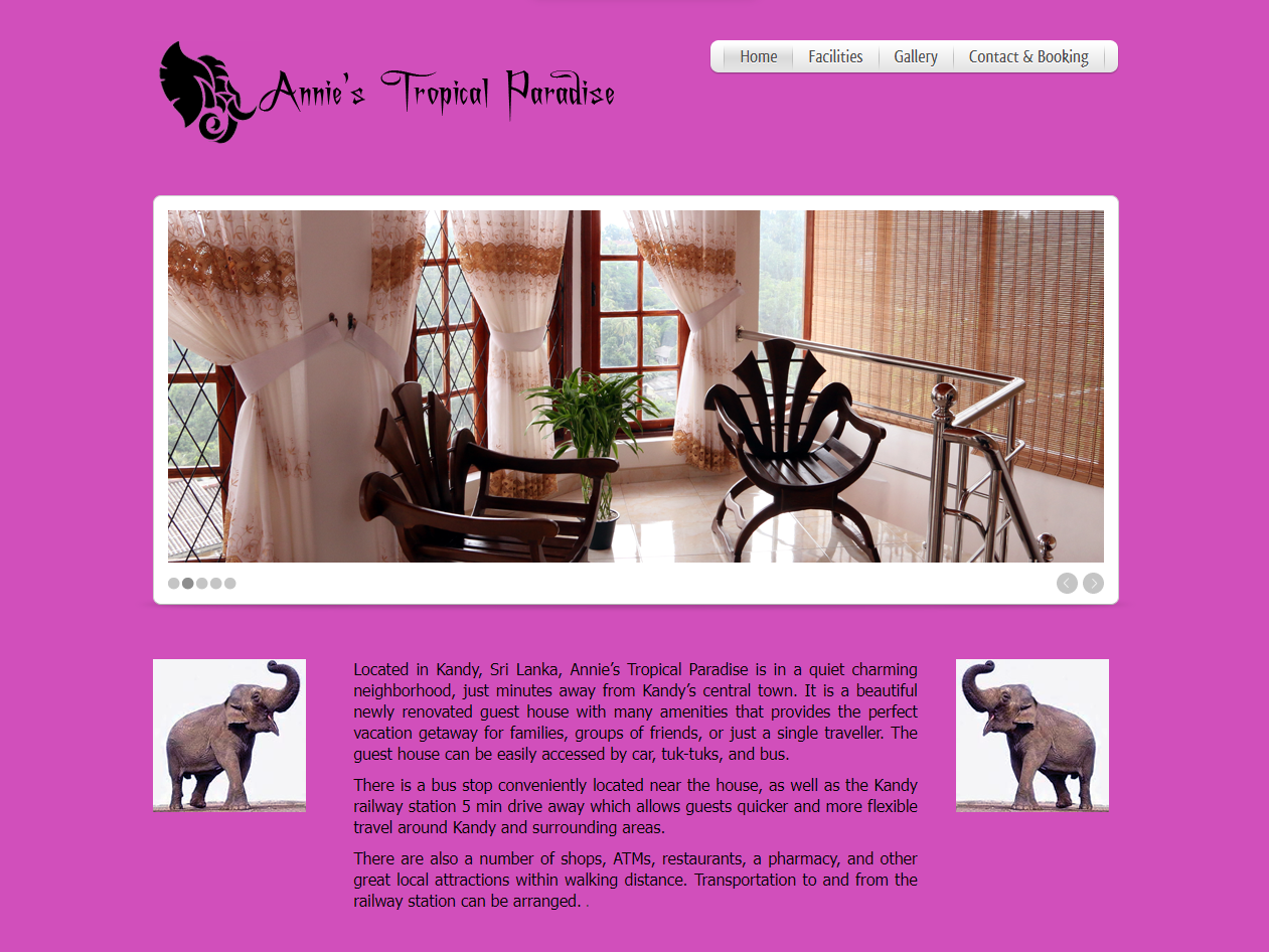 Read more about the article Annie’s Tropical Paradise