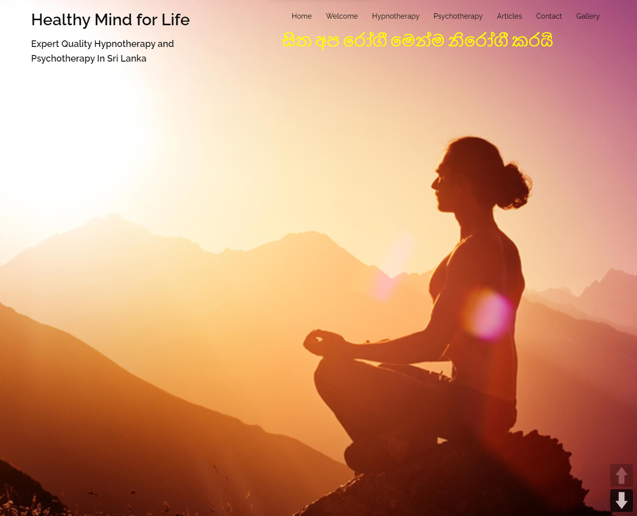 Read more about the article Healthy Mind For Life