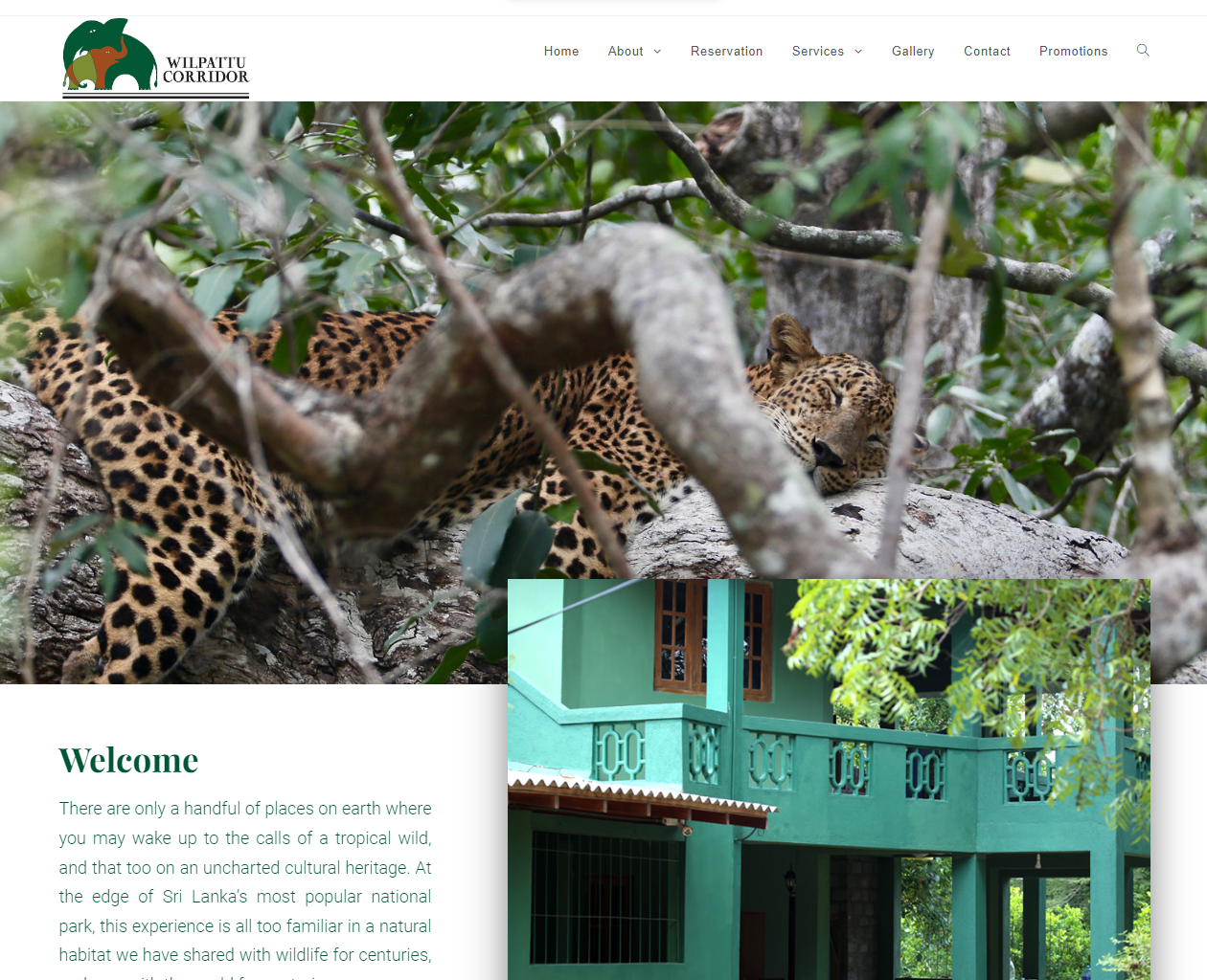 Read more about the article Wilpattu Leisure